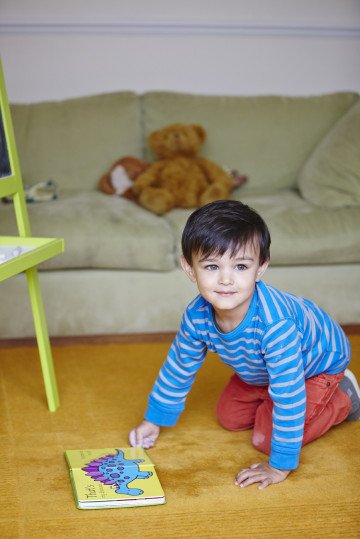 Boy reading dinosaur book