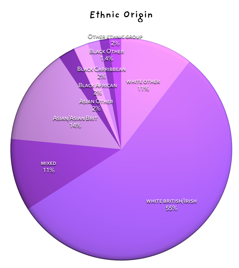 Ethnicity