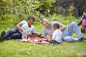 picnic on the grass