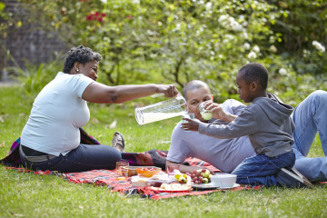 Picnic in the sunshine