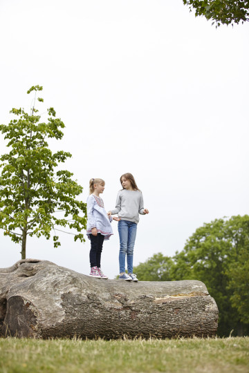 Siblings on tree trunk