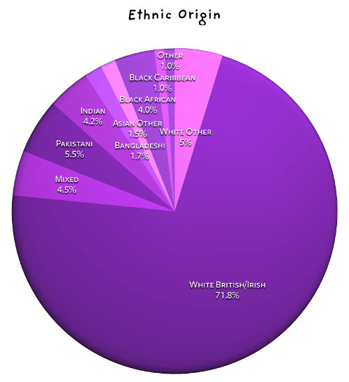 Ethnicity