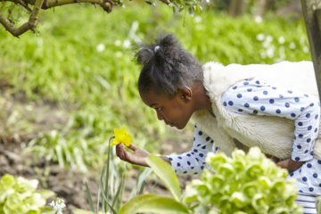 Smelling flowers