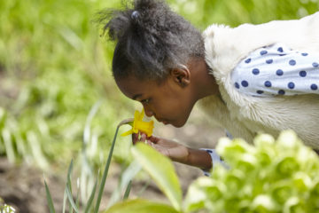 Smelling flowers