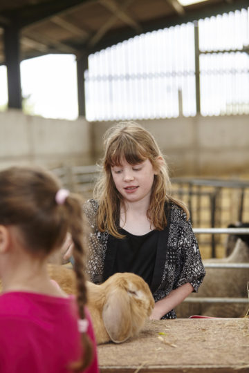 Playing at Farm