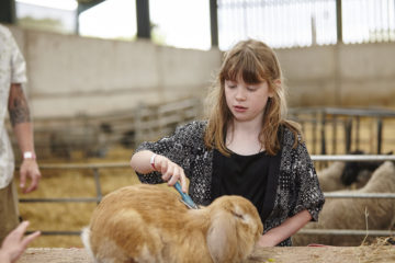 Playing at Farm