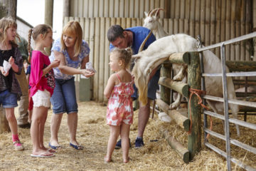 Playing at Farm