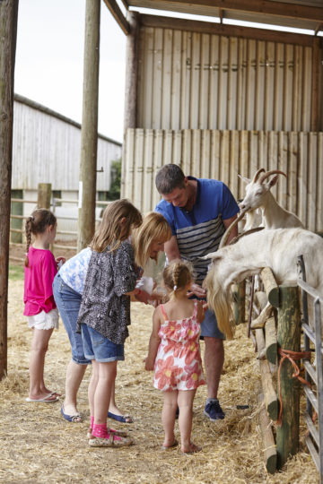 Playing at Farm