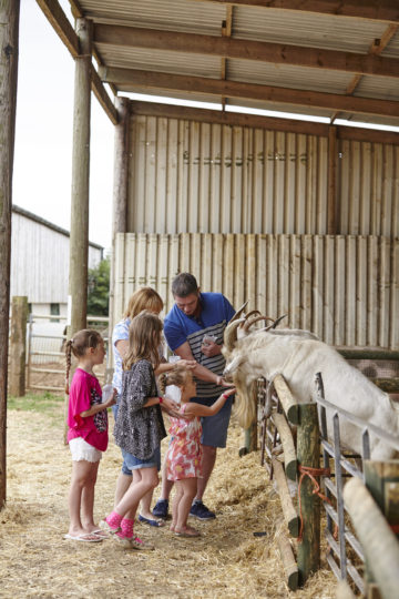 Playing at Farm