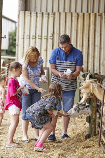 Playing at Farm