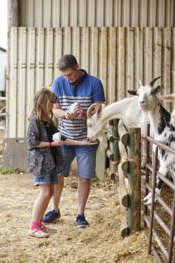 Playing at Farm