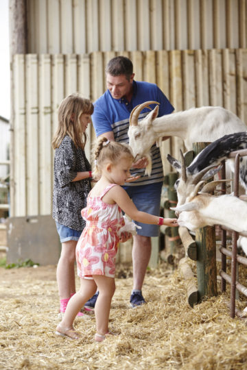 Family with animals