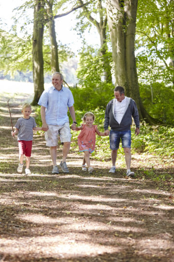 Family Woodland Walk