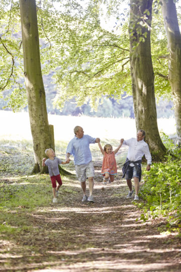 Woodland walk