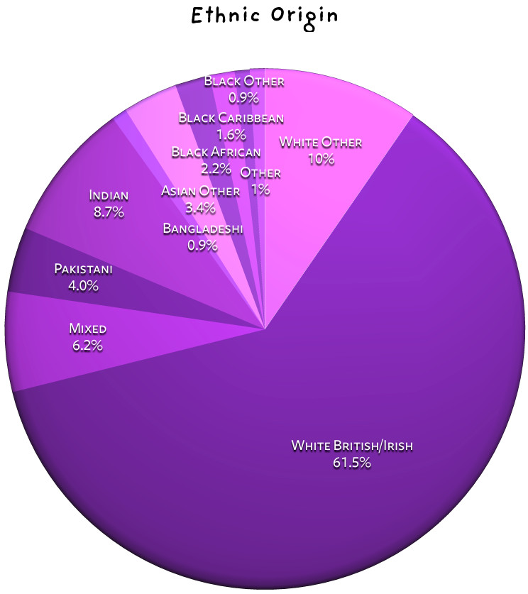 Ethnicity