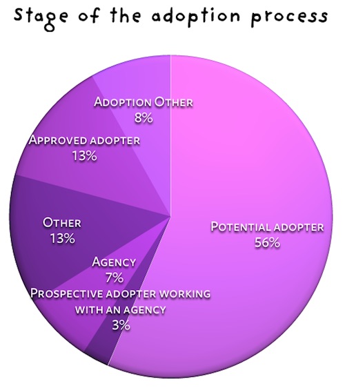 Stage of the adoption process