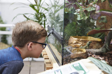 Looking into the aquarium